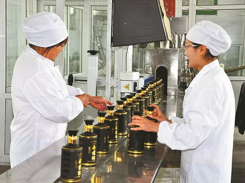 山西省非物質文化遺產(chǎn) 桑落酒制作技藝